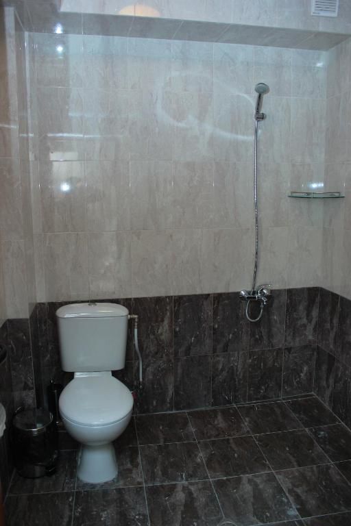 Отель Family Hotel Aleks Златоград-42