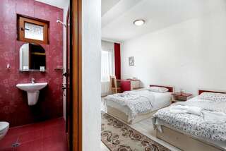 Отель Family Hotel Aleks Златоград Двухместный номер с 1 кроватью или 2 отдельными кроватями-8